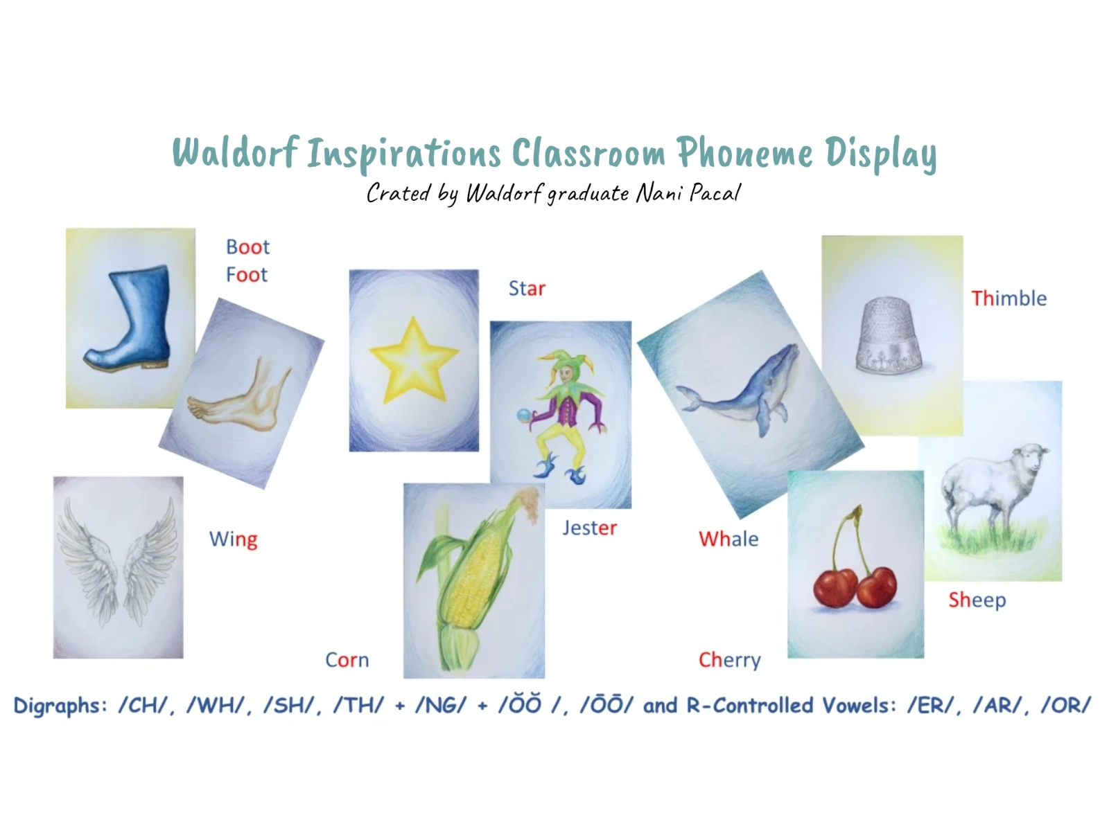 <p class="text-glacier-600">$13.50</p>